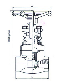 鍛鋼內(nèi)螺紋閘閥結(jié)構(gòu)圖